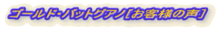SVRL@엿S[hEobgOAmmql̐n  